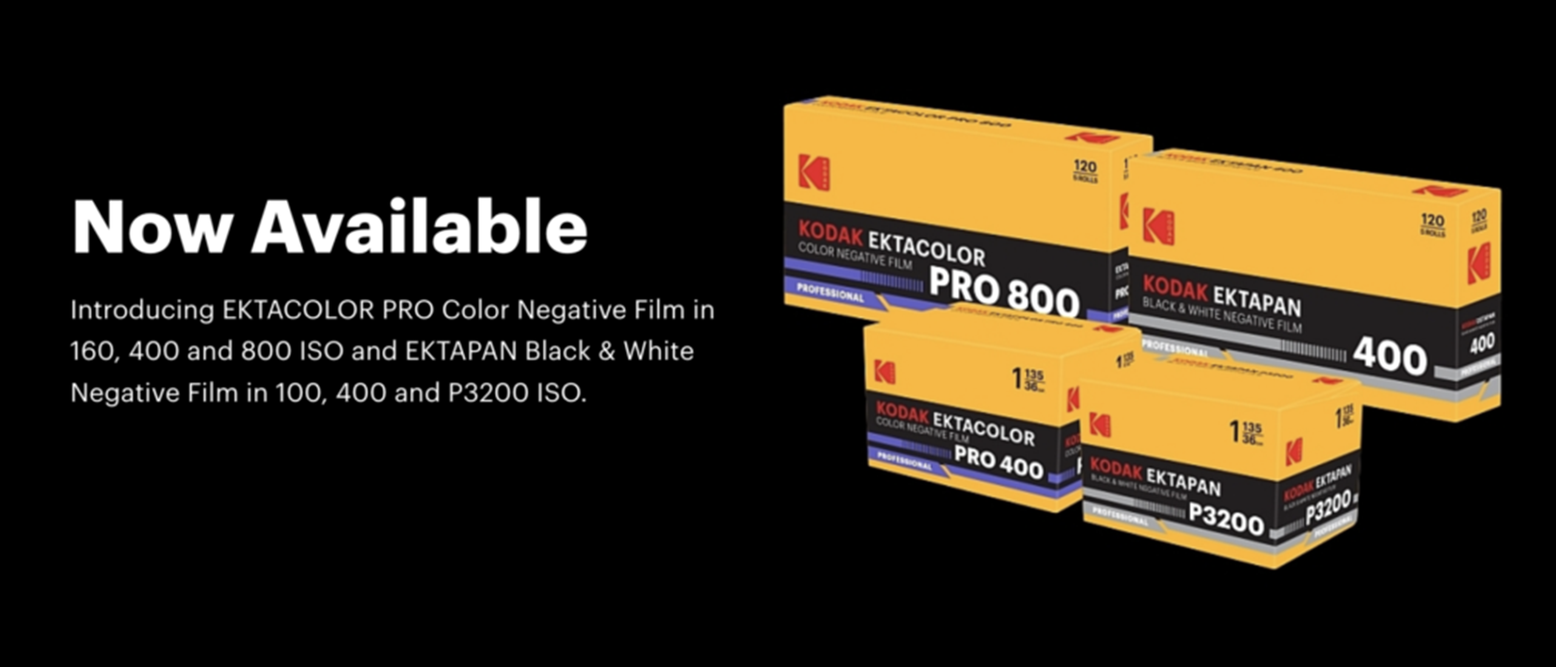 Ektacolor Pro, Ektapan y memoria