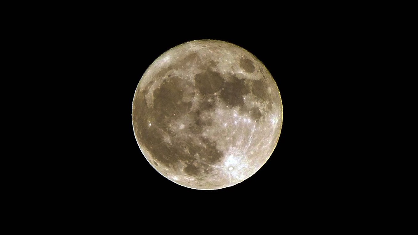 Moleskine: más que una libreta negra